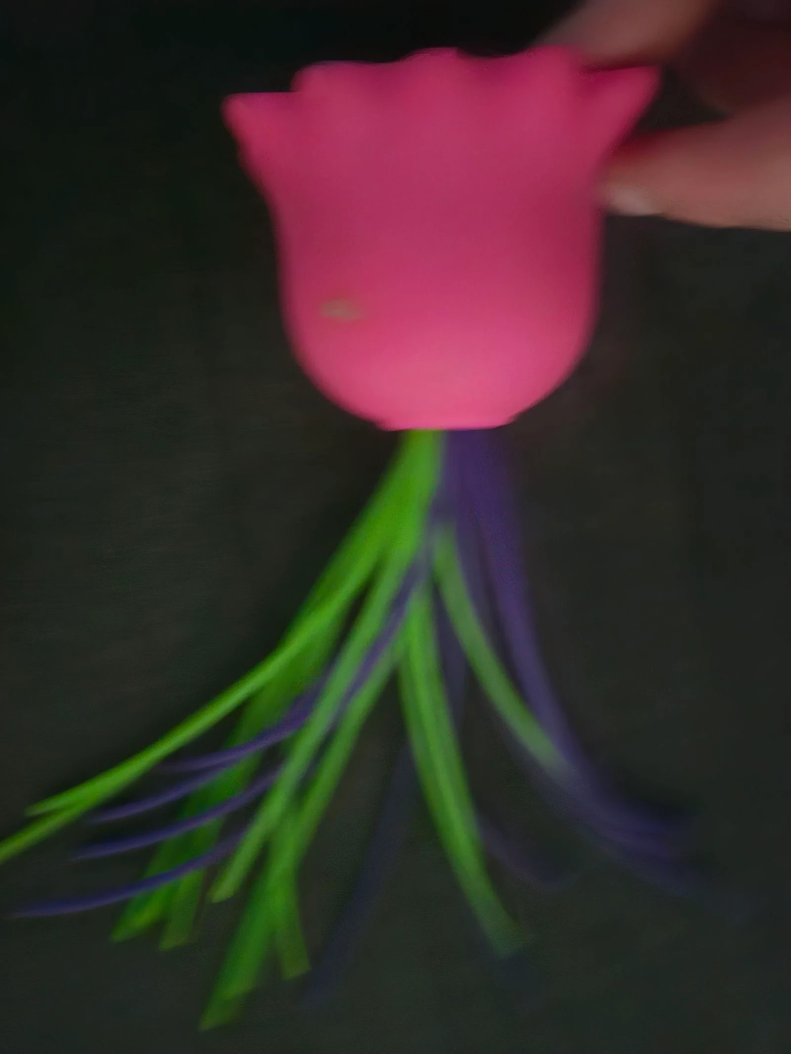 String Monster – photo 5